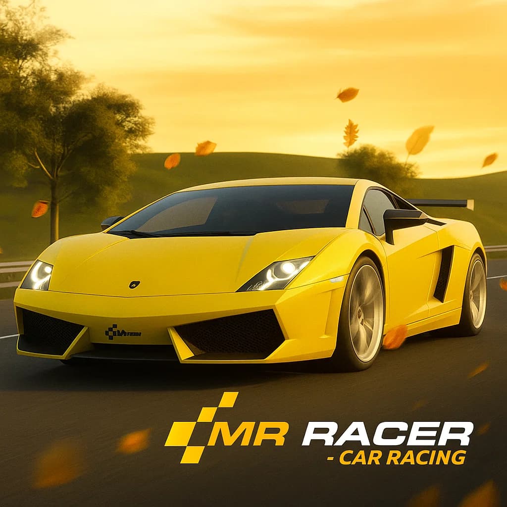 Mr Racer Car Racing